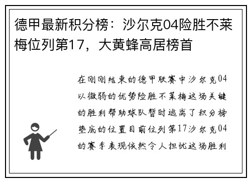 德甲最新积分榜：沙尔克04险胜不莱梅位列第17，大黄蜂高居榜首